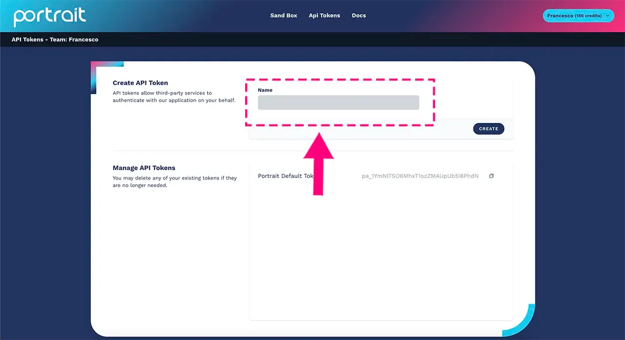 Field to write the name of the API key to integrate into other systems