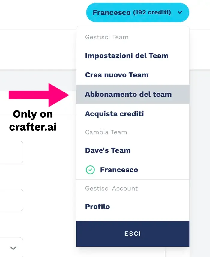 Abbonamento del Team sulla piattaforma Portrait e crafter.ai