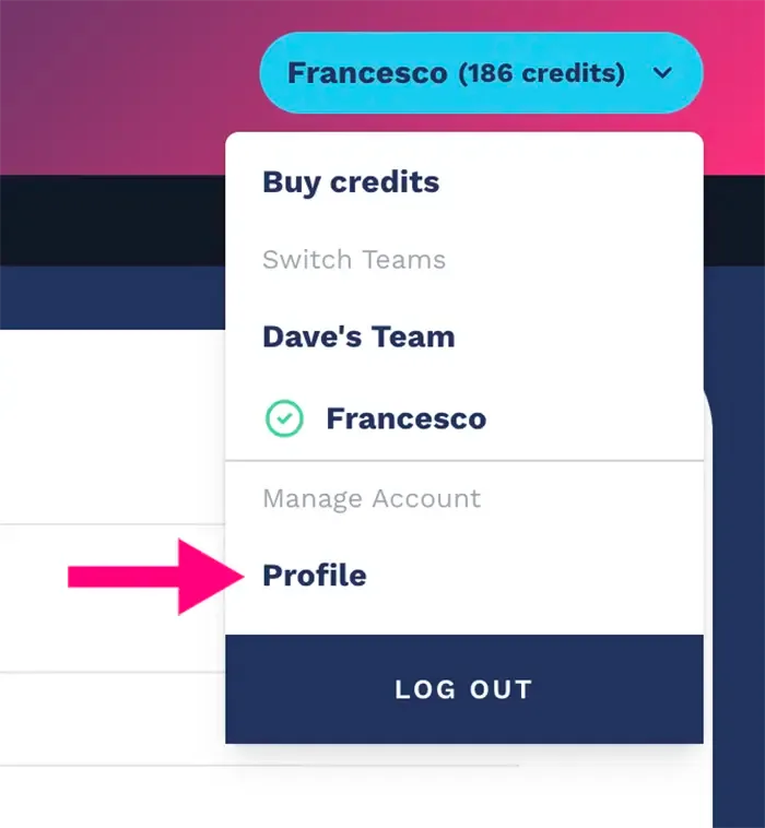 Click on profile to access the Team settings