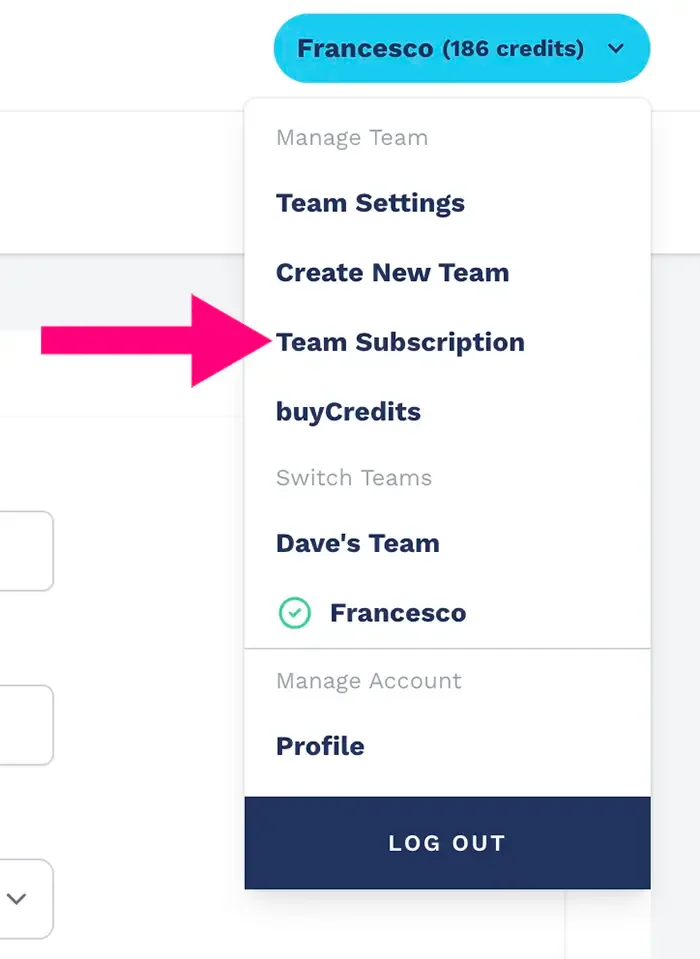Team subscription menu item on the Portrait and crafter.ai platform